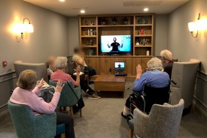 Online Tai Chi Nursing and Care Homes